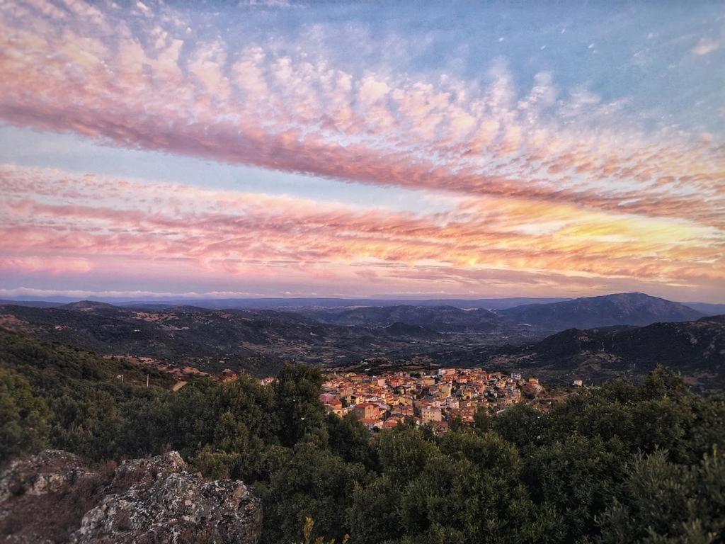 Orgosolo B&B Sardegna Buitenkant foto