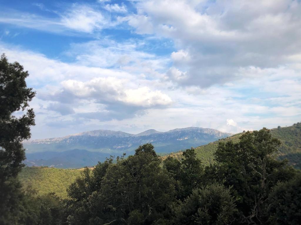 Orgosolo B&B Sardegna Buitenkant foto