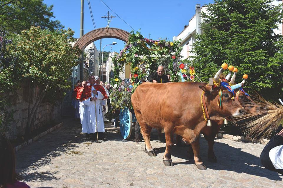 Orgosolo B&B Sardegna Buitenkant foto
